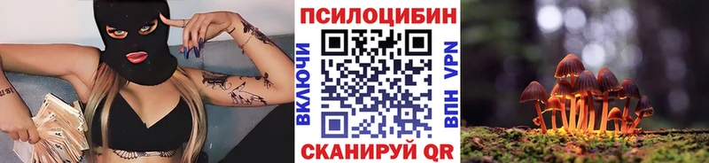 Псилоцибиновые грибы Psilocybine cubensis  Купить где  Ефремов 